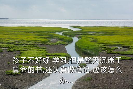  孩子不好好 学习,但是整天沉迷于 算命的书,还认真做笔记,应该怎么办...