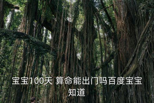 宝宝100天 算命能出门吗百度宝宝知道