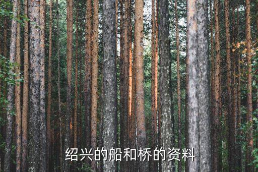 绍兴八字桥算命,两桥相对八字表示桥梁结构特色