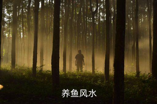  养鱼风水