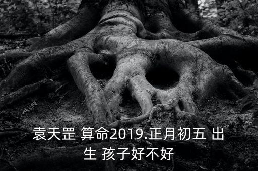 袁天罡 算命2019.正月初五 出生 孩子好不好