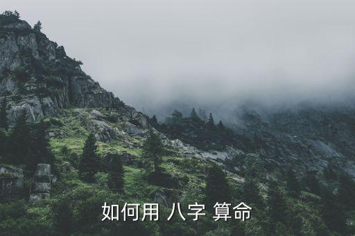 如何用 八字 算命