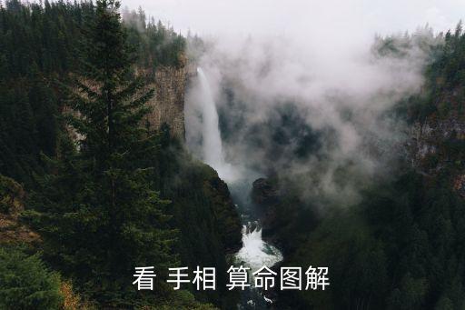 看 手相 算命图解