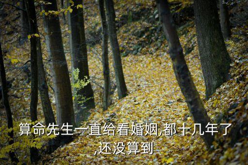  算命先生一直给看婚姻,都十几年了,还没算到