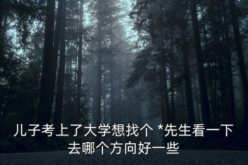 儿子考上了大学想找个 *先生看一下去哪个方向好一些