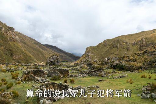  算命的说我家儿子犯将军箭
