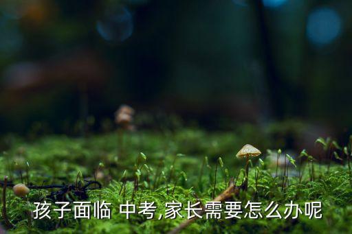  孩子面临 中考,家长需要怎么办呢
