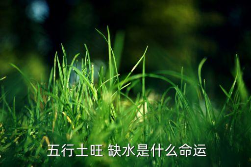 八字算命五行缺水,财运与健康之路充满挑战