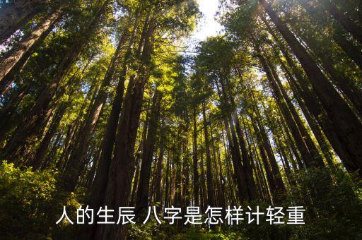 人的生辰 八字是怎样计轻重