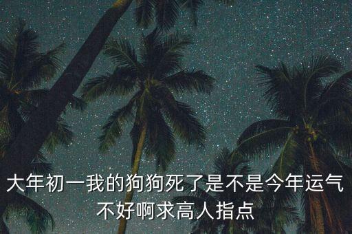 大年初一我的狗狗死了是不是今年运气不好啊求高人指点