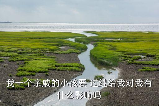 我一个亲戚的小孩要 过继给我对我有什么影响吗