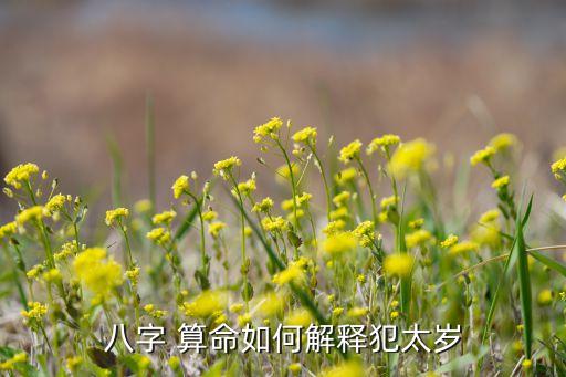 八字 算命如何解释犯太岁
