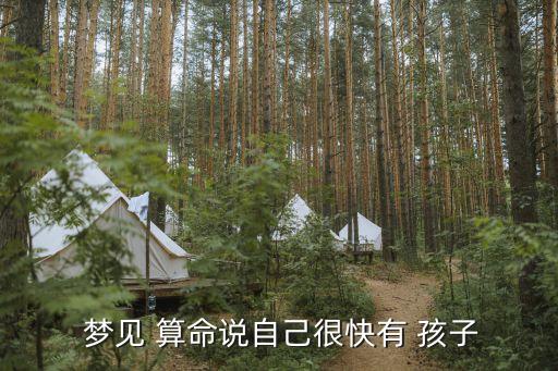  梦见 算命说自己很快有 孩子