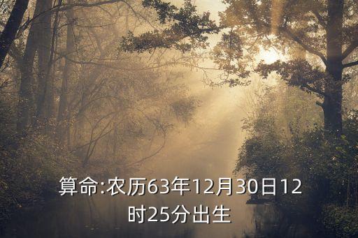  算命:农历63年12月30日12时25分出生