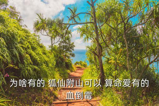 狐仙给孩子算命好吗,狐仙借人之身帮助人积德早日成仙