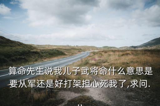  算命先生说我儿子武将命什么意思是要从军还是好打架担心死我了,求问...