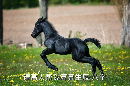 请高人帮我算算生辰 八字