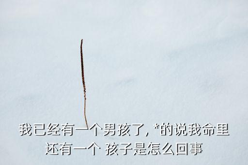 我已经有一个男孩了, *的说我命里还有一个 孩子是怎么回事