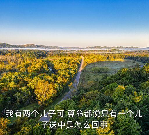 我有两个儿子可 算命都说只有一个儿子送中是怎么回事