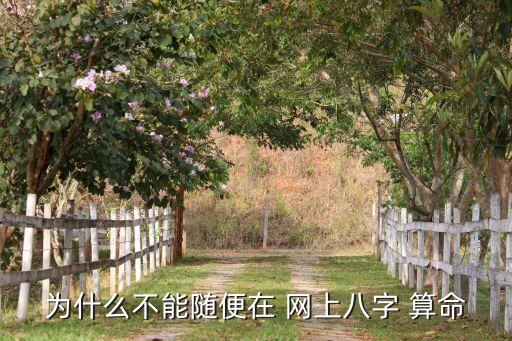 为什么不能随便在 网上八字 算命