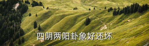 四阴两阳卦象好还坏