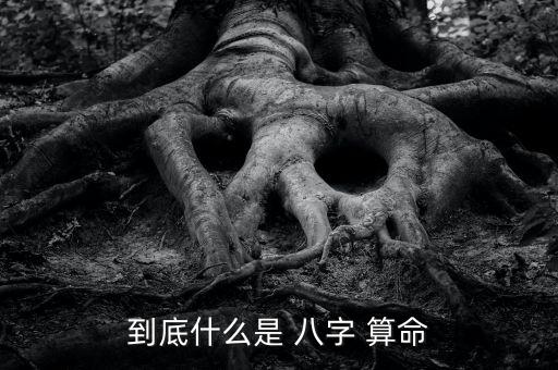 到底什么是 八字 算命