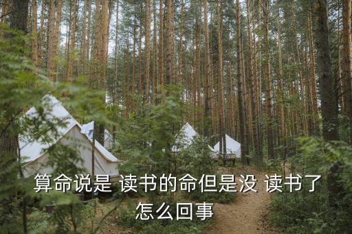 算命算出孩子读书不行,你知道吗?原来是这样