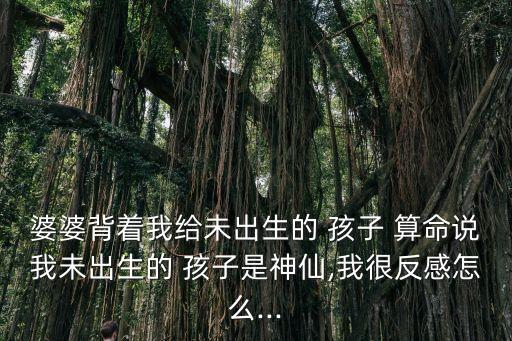 婆婆背着我给未出生的 孩子 算命说我未出生的 孩子是神仙,我很反感怎么...