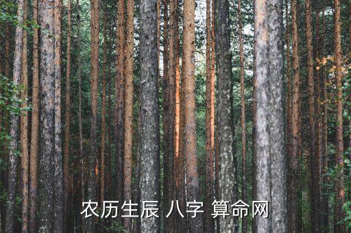 测八字算命网,八字缘分就是从五行中寻找阴阳的平衡