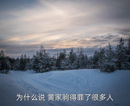 为什么说 黄家驹得罪了很多人