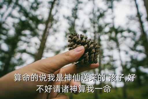  算命的说我是神仙送来的 孩子,好不好请诸神算我一命