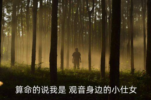  算命的说我是 观音身边的小仕女