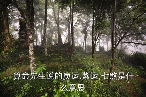 算命先生说的庚运.紫运,七煞是什么意思
