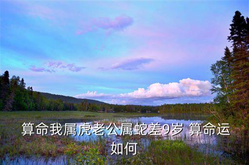  算命我属虎老公属蛇差9岁 算命运如何
