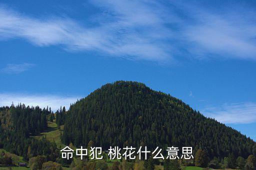 命中犯 桃花什么意思