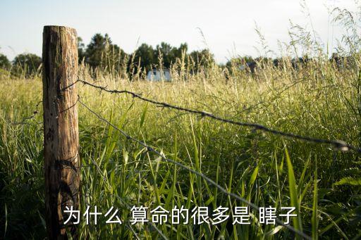 给孩子算命的瞎子,相信命运的人会有好运