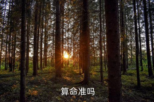  算命准吗
