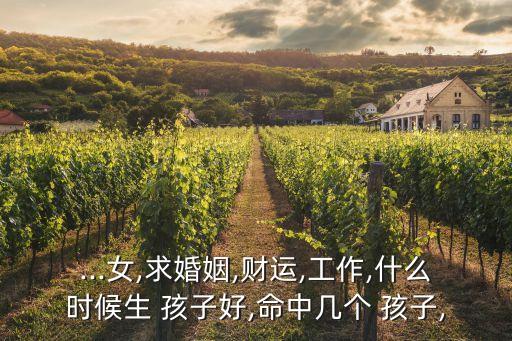 ...女,求婚姻,财运,工作,什么时候生 孩子好,命中几个 孩子,