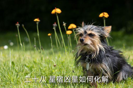 二十八 星宿凶星如何化解
