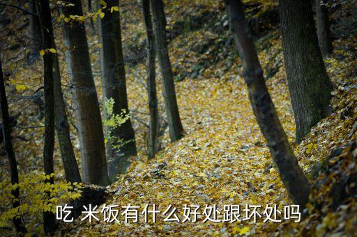 吃 米饭有什么好处跟坏处吗
