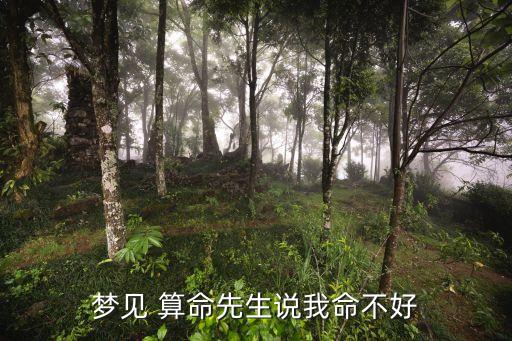 梦见 算命先生说我命不好
