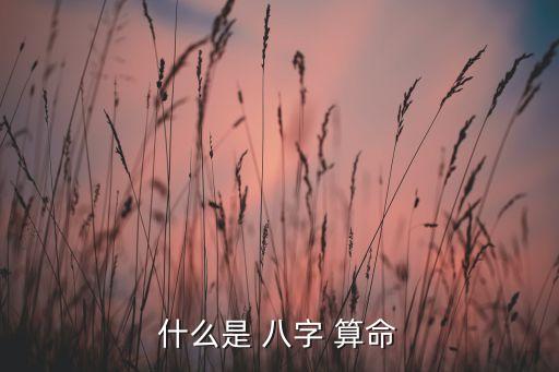 什么是 八字 算命