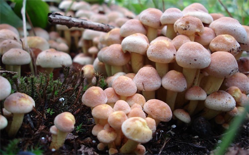 80岁老人敲门找孩子算命,听到的是什么?原来是命运?